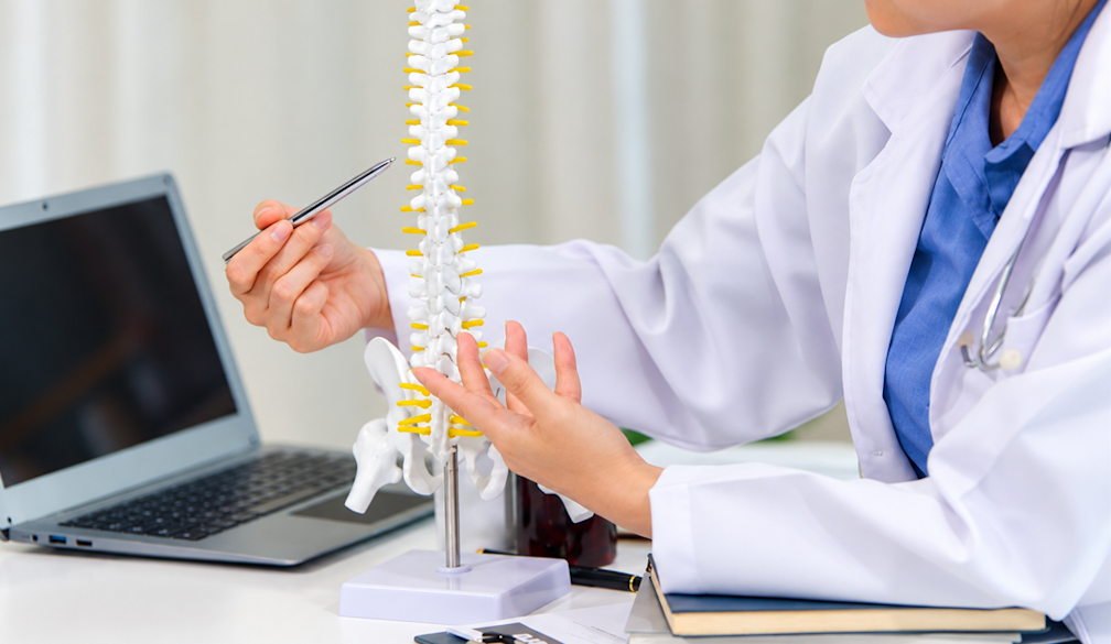 Doctor Demonstrating Spine Model