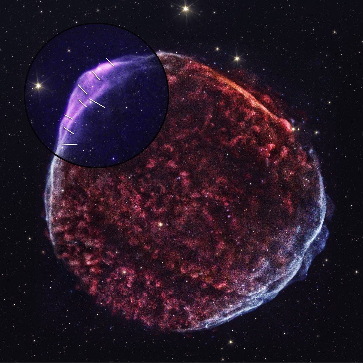 The figure shows a composite image of supernova remnant SN 1006. The upper left circle shows the IXPE observed area. The IXPE 2—4 keV emission is shown with the purple colour, with magnetic field orientation denoted with white lines. The red and white represent the soft and hard X-ray emission, respectively, taken with the Chandra X-ray observatory. The golden colour denotes the Spitzer infrared emission. Image Credits: X-ray: Chandra: NASA/CXC/SAO, IXPE: NASA/MSFC/P. Zhou et al.; Infrared: Spitzer.