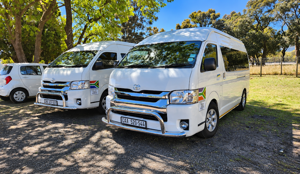 Sunny Charter Vans Under Trees